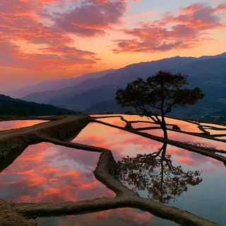 夕暮れの棚田
