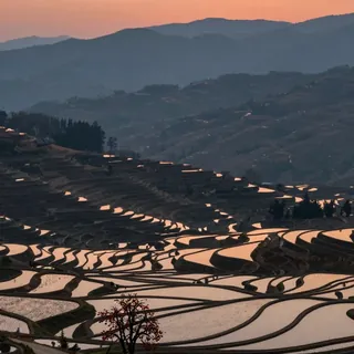夕暮れの棚田